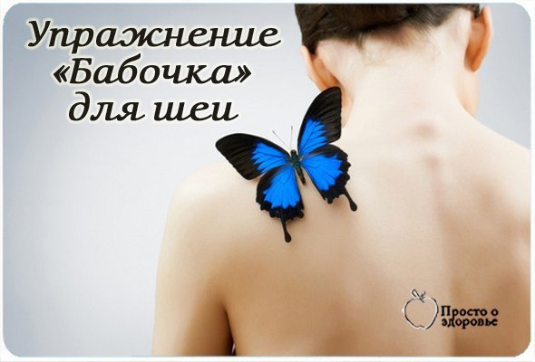 Упражнение «Бабочка» для шеи